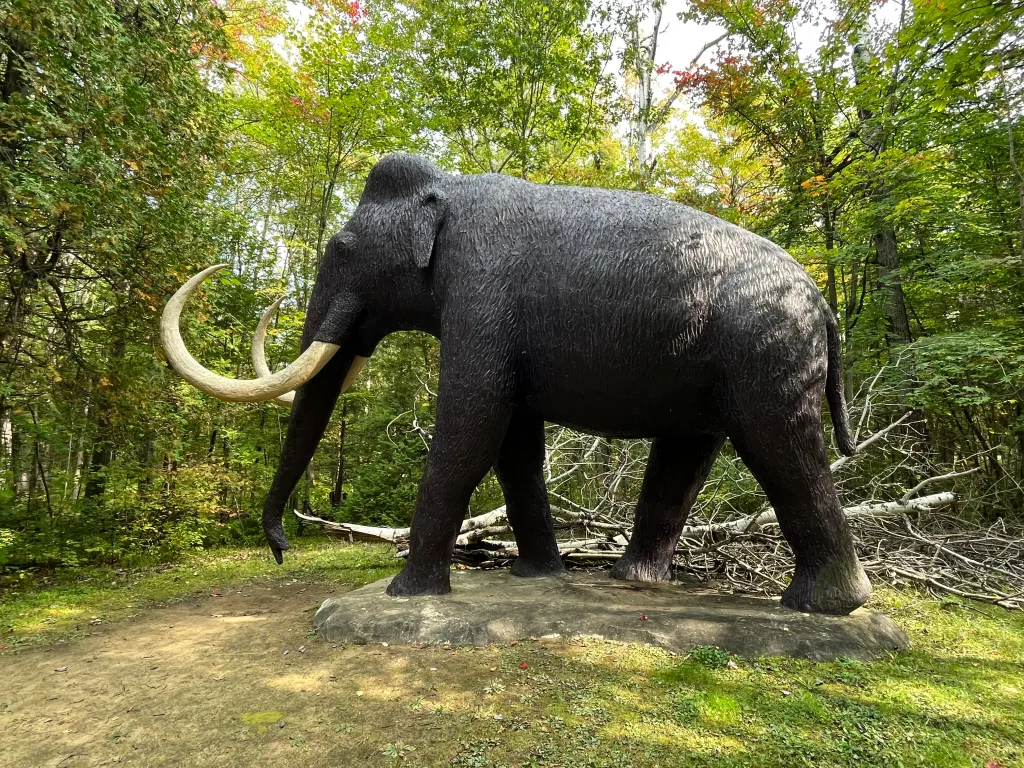 A Woolly Mammoth statue with large tusks standing among the trees